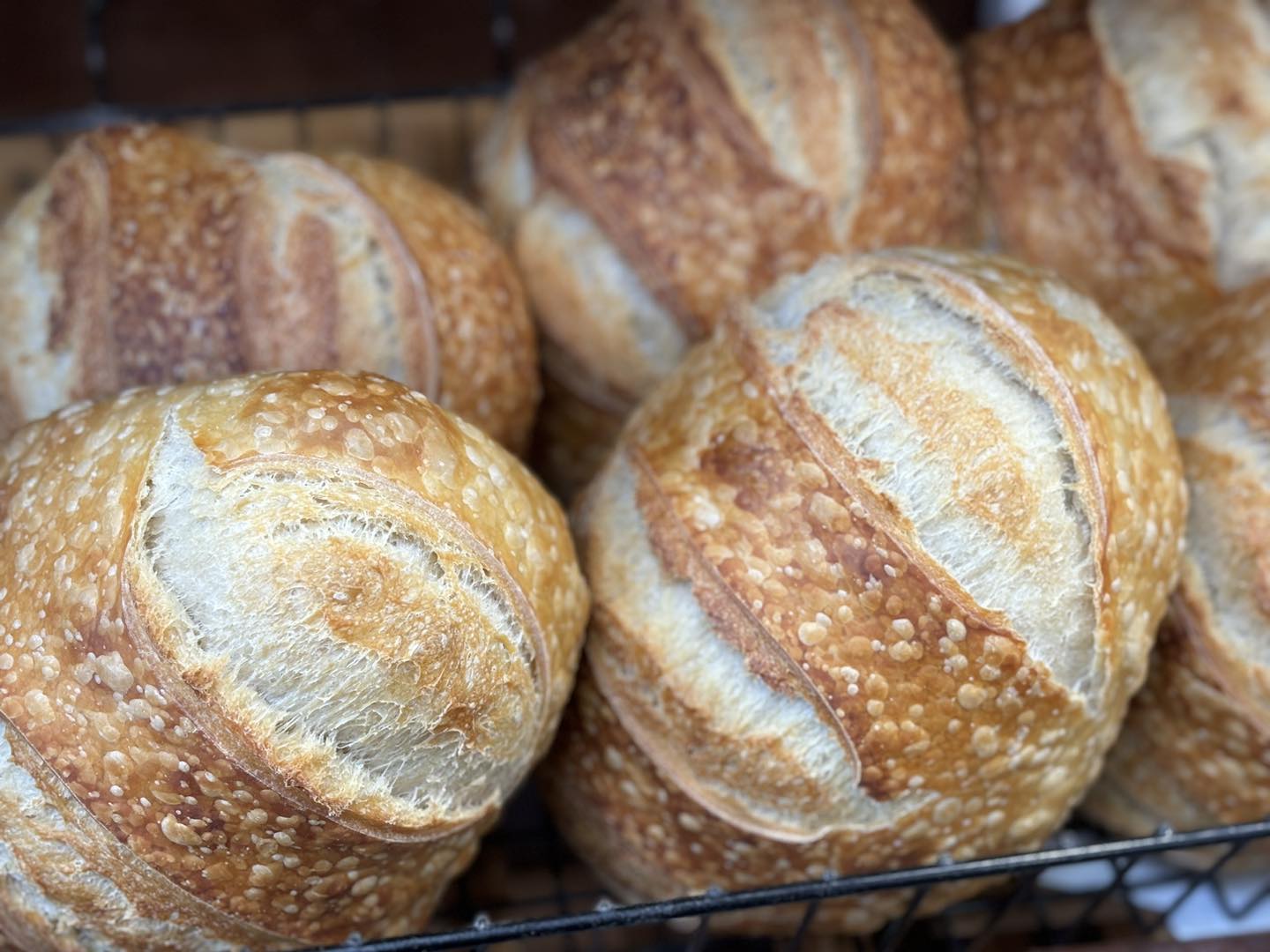 San Francisco Sourdough