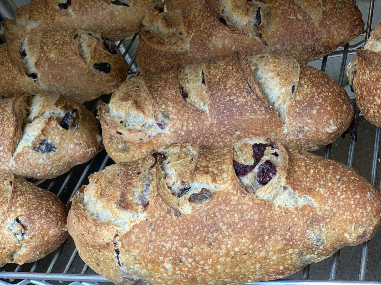 Olive Rosemary Sourdough
